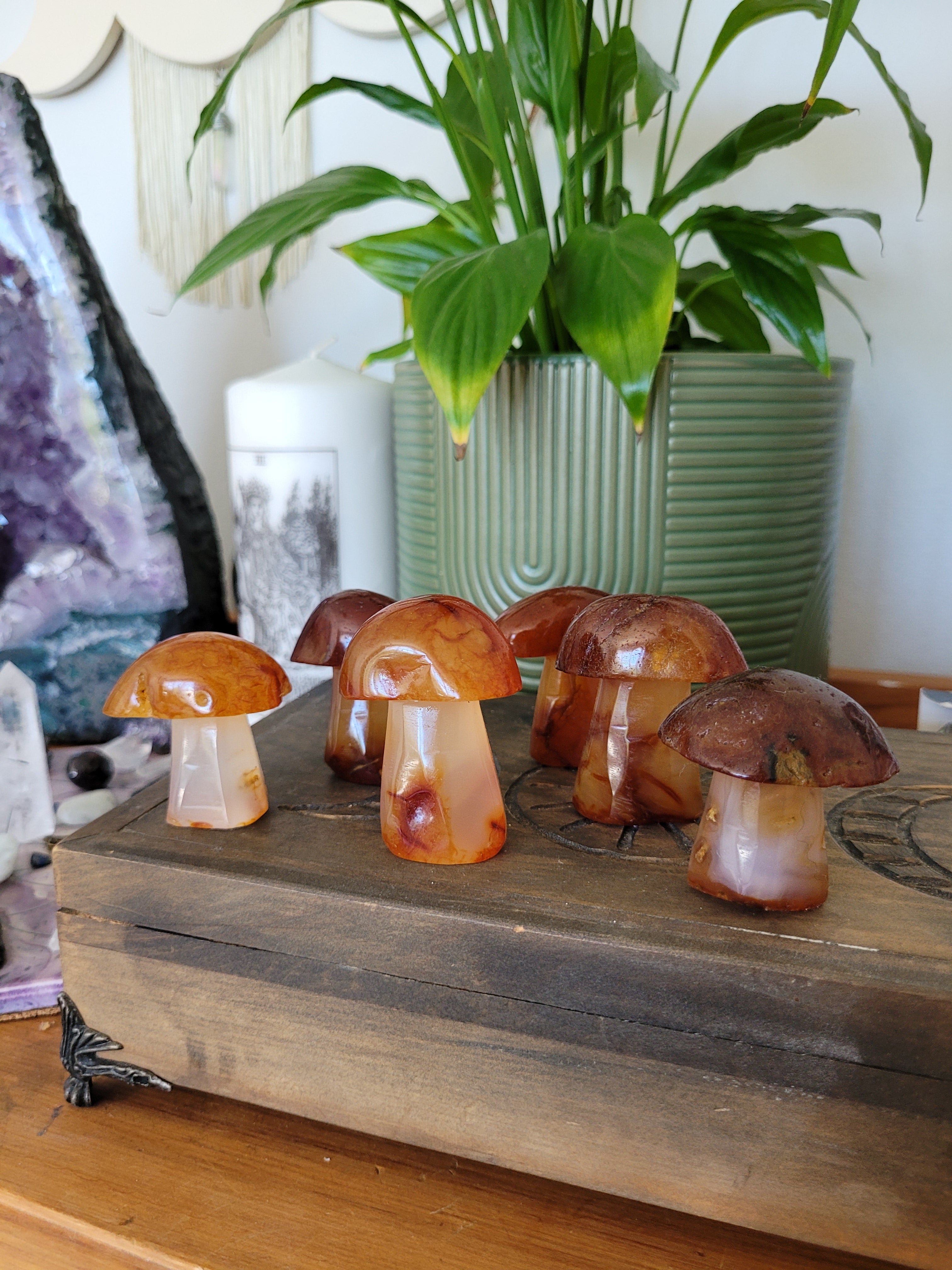 Carnelian Mushrooms
