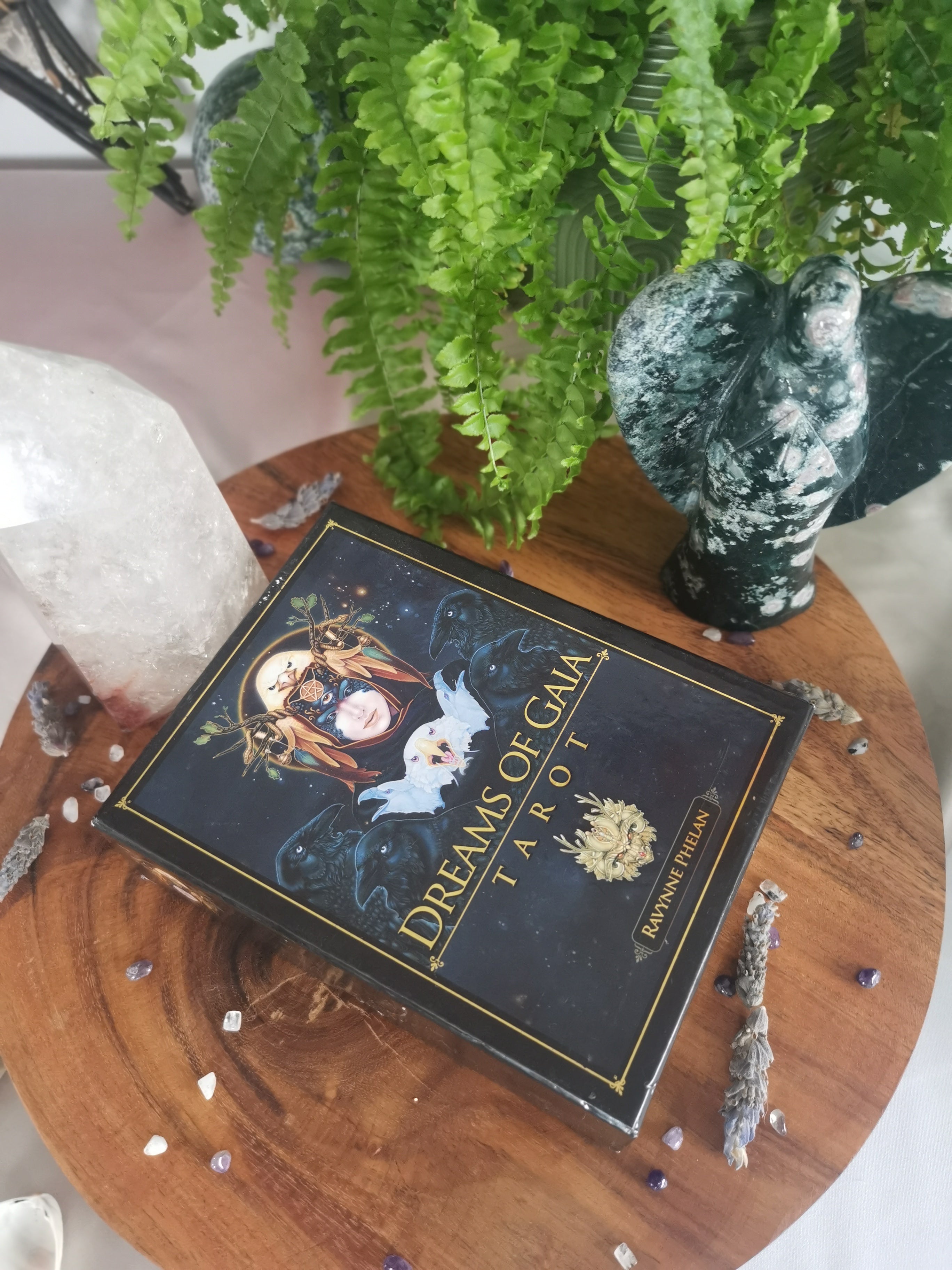 Dreams Of Gaia Tarot Box Set - Ravynne Phelan